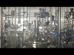 ХИМИЧЕСКИЙ СТЕКЛЯННЫЙ РЕАКТОР